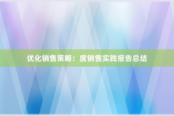 优化销售策略：度销售实践报告总结